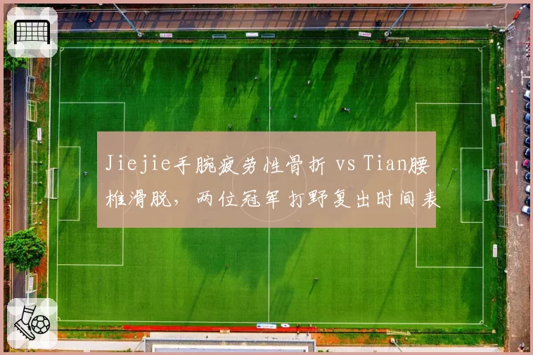 Jiejie手腕疲劳性骨折 vs Tian腰椎滑脱,两位冠军打野复出时间表谁更保守?
