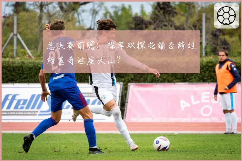 总决赛前瞻：绿军双探花能否跨过约基奇这座大山？