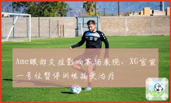Ame眼部炎症影响赛场表现，XG官宣一号位暂停训练接受治疗