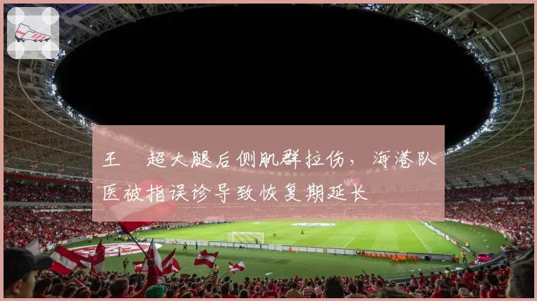 王燊超大腿后侧肌群拉伤，海港队医被指误诊导致恢复期延长